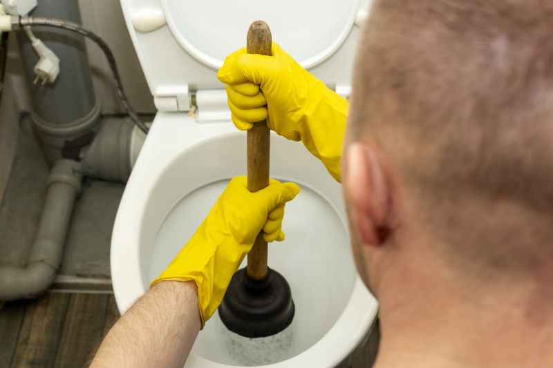 Toilet Plunging